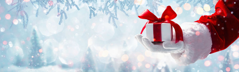 圣诞老人送的圣诞礼物