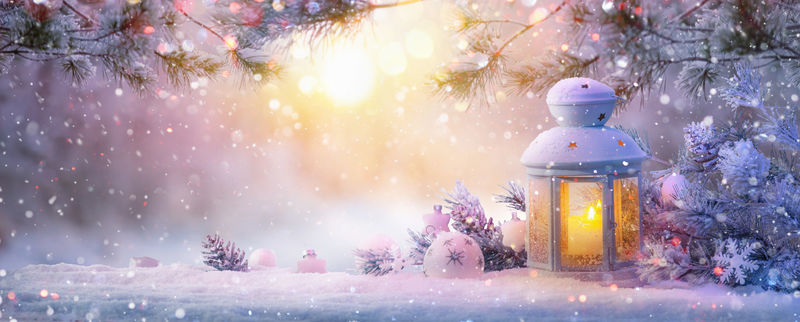 雪地上的圣诞灯,有冷杉枝。冬季景观