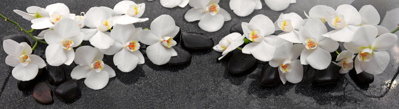 白色兰花和水疗石。