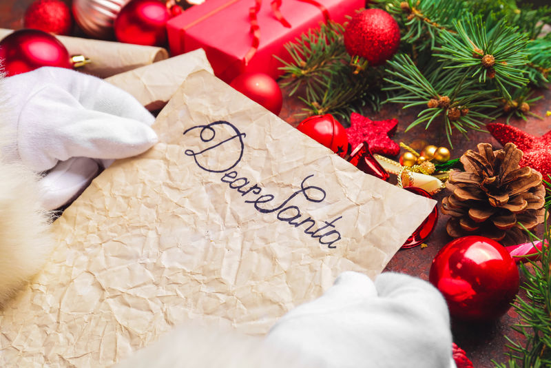 新年-2019的目标-在一张纸上写下文字-纸上有一顶圣诞老人的帽子-圣诞树的枝桠在浅色的背景上