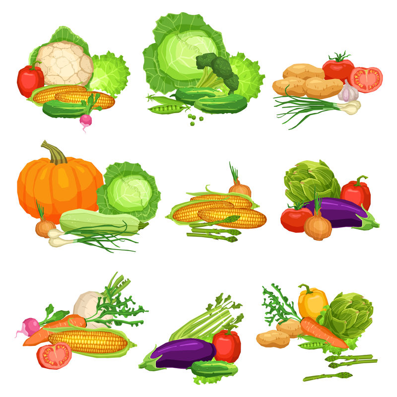 收集平面新鲜蔬菜-静物蔬菜插图-健康生活方式和素食理念