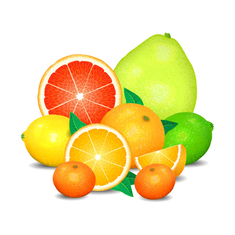 柑橘类水果，一套柑橘类水果。柑橘类水果（橙子、柠檬）