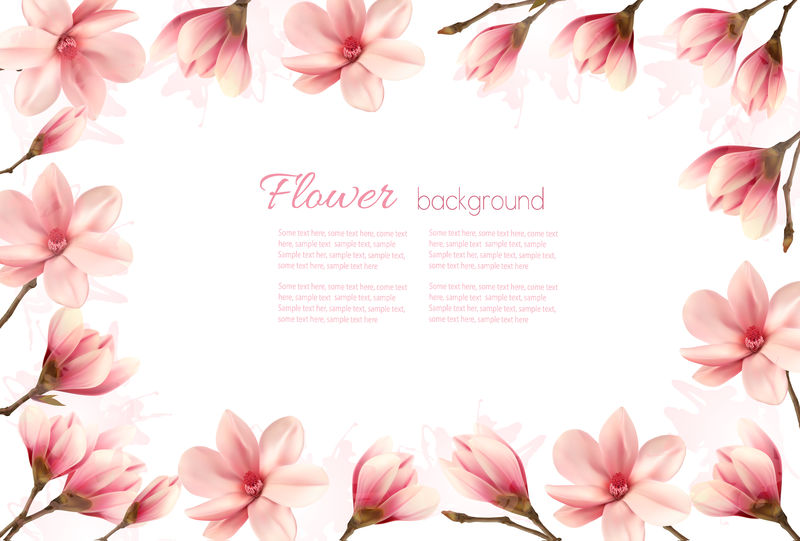 花背景与粉红色木兰花的边界。维克托