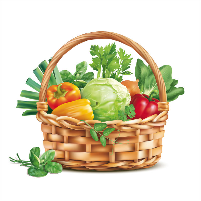 用白色隔离的蔬菜做成的篮子-矢量图解