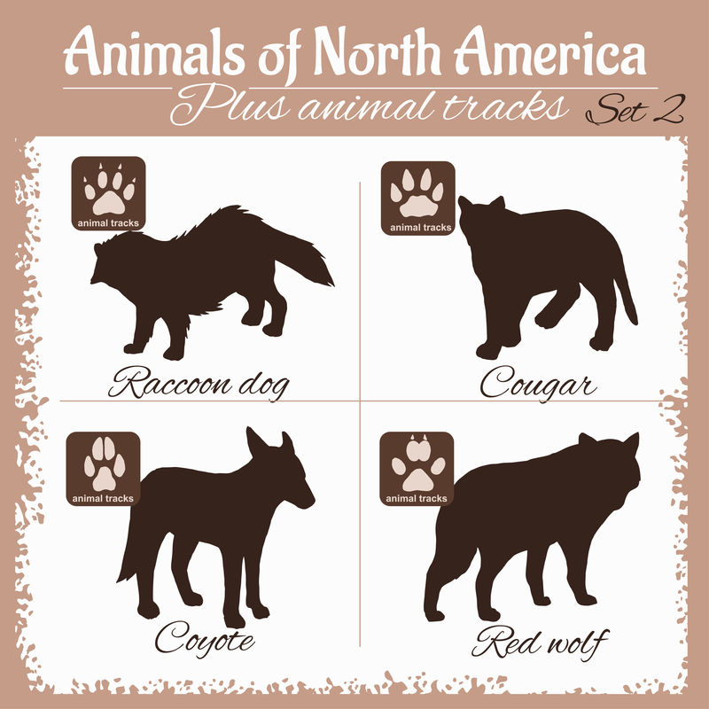 北美动物和动物的足迹。