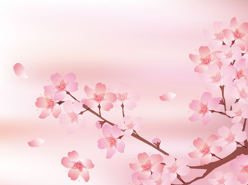 春樱花背景素材 高清图片 摄影照片 寻图免费打包下载
