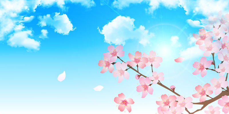 春樱花背景素材 高清图片 摄影照片 寻图免费打包下载