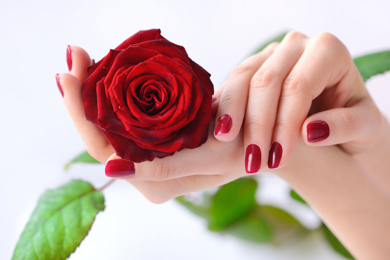 白背红玫瑰红指甲女人的手图片,创意图片,手,红色,美甲,指甲油,手指