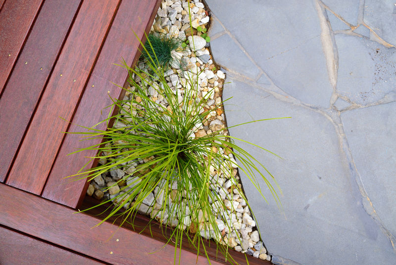 现代前院或后院设计理念俯视图