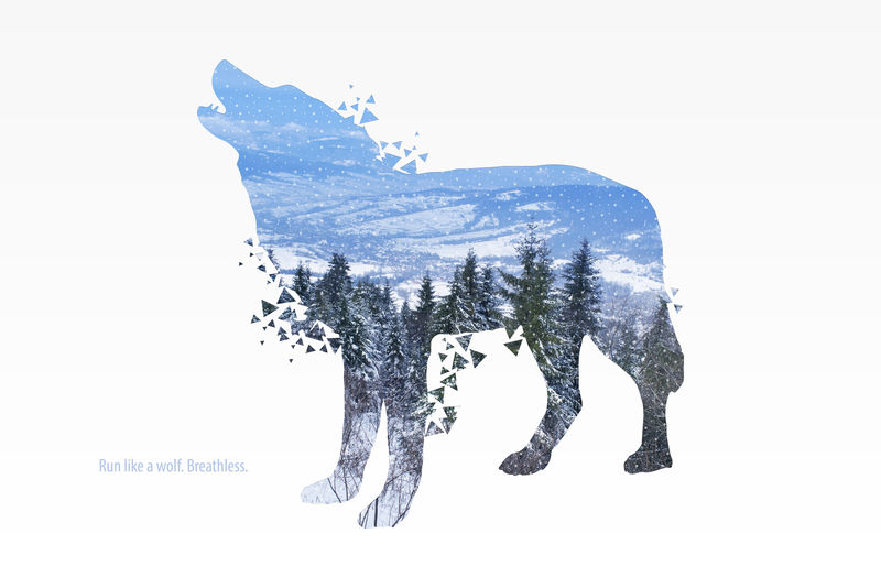美丽的冬季艺术狼剪影水彩背景插图