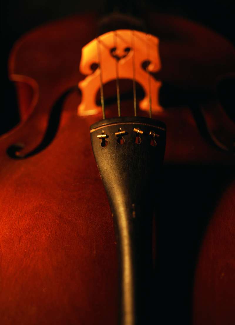 旧的灰尘小提琴细节