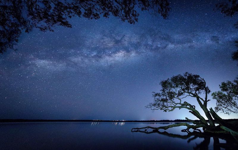 森林夜景图片真实图片图片