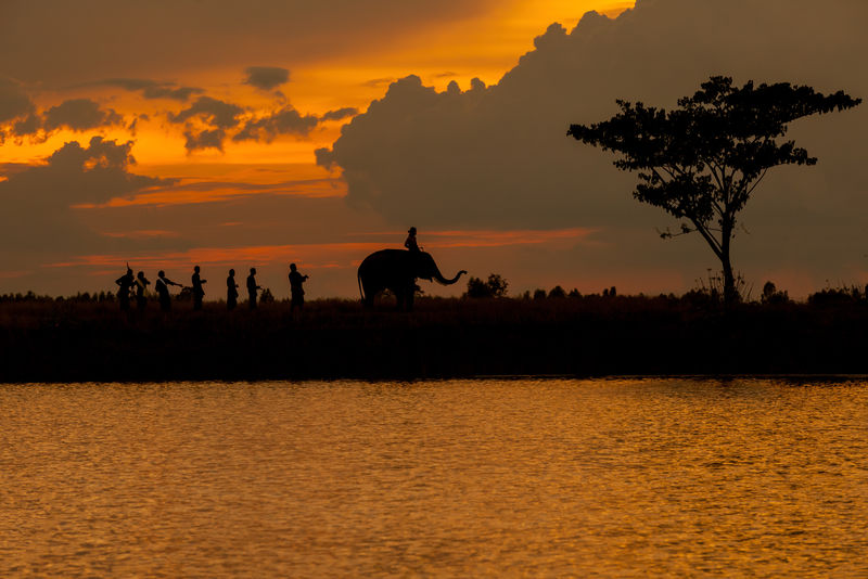 泰国大象游行和文化剪影。