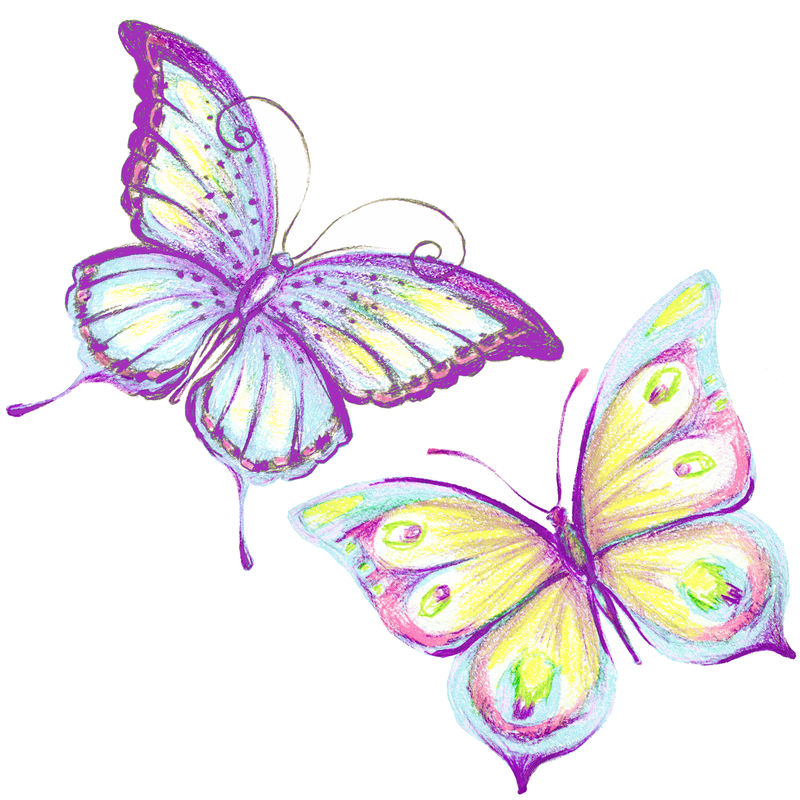 蝴蝶水彩画简单图片