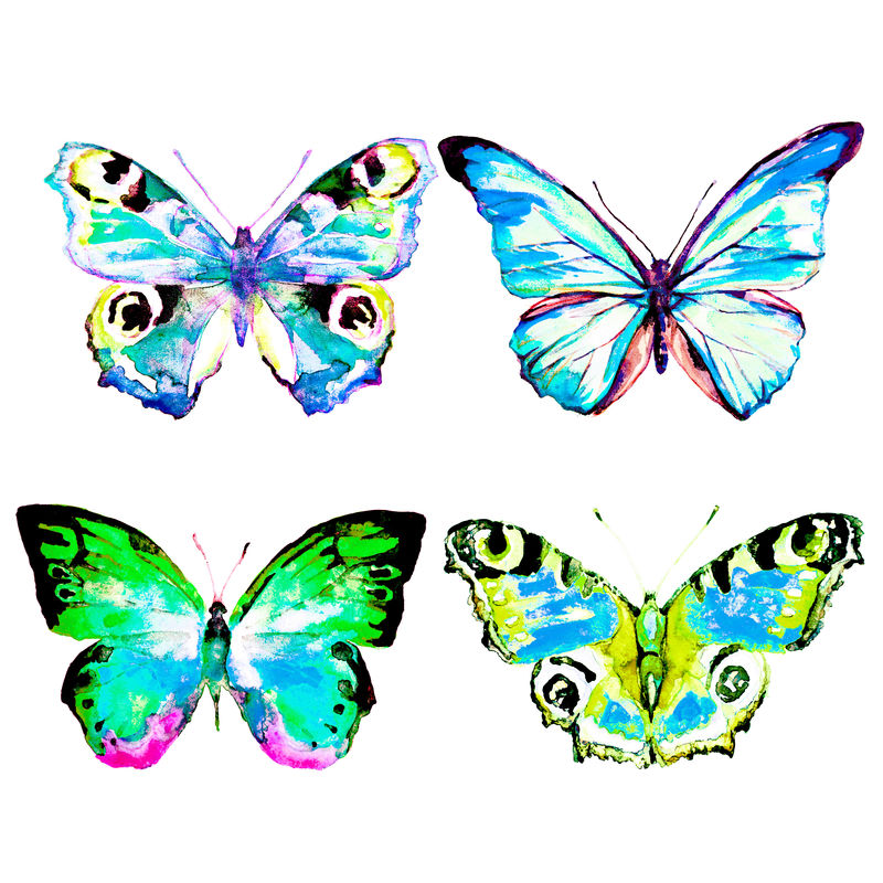 蝴蝶，水彩画，白色孤立