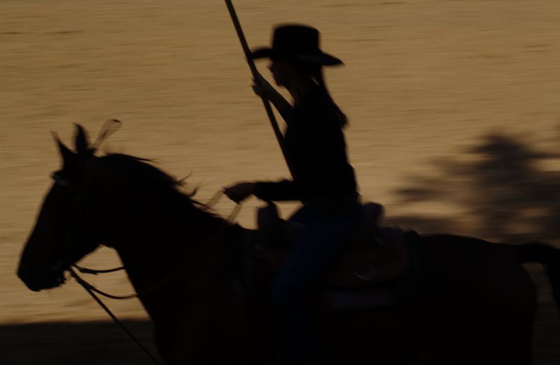 日落时骑在马上的蓝色牛仔剪影（7）