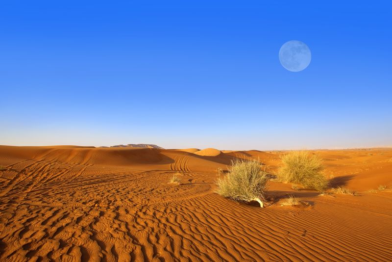非洲中部撒哈拉沙漠的沙丘
