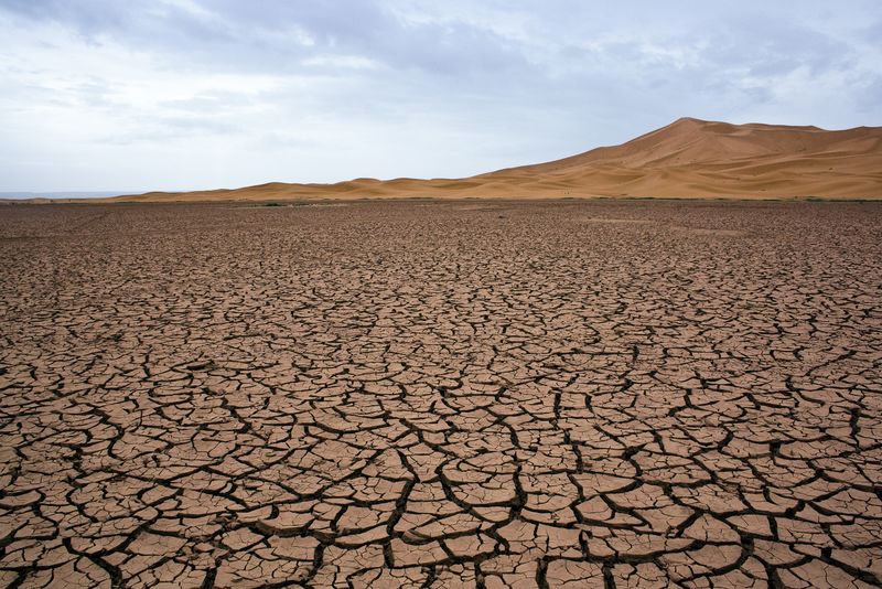 龟裂旱地