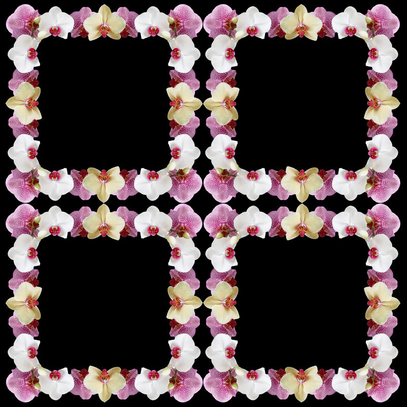 花的背景。兰花