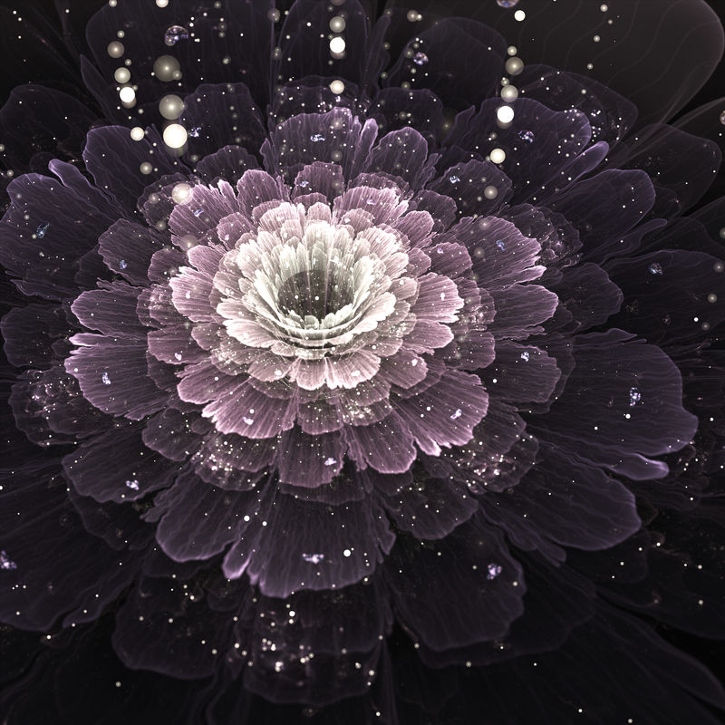 紫罗兰水珠分形花
