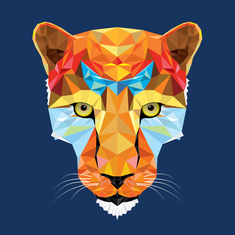 几何图案的野生猫豹，矢量
