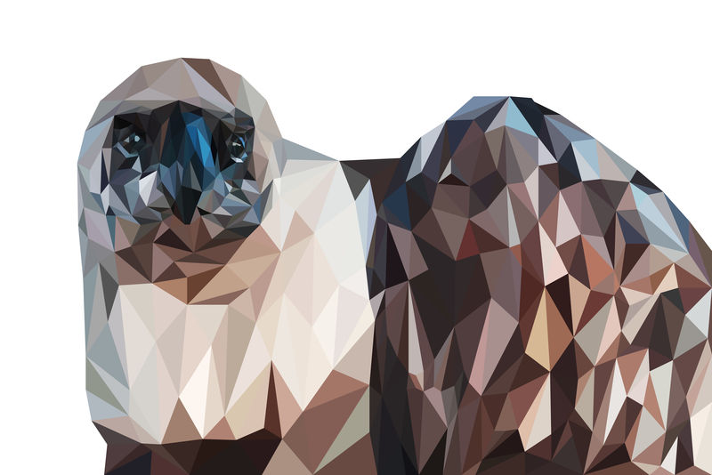 矢量几何动物设计