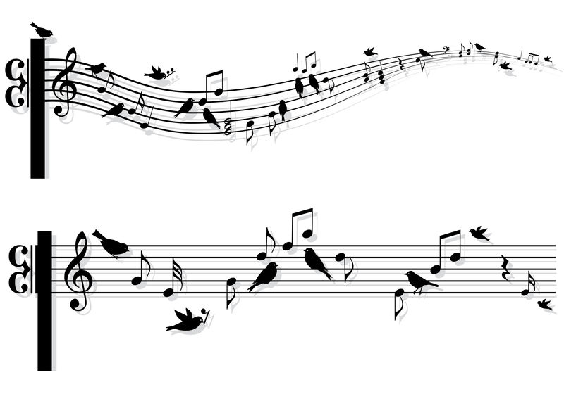 鸟的音乐音符,矢量