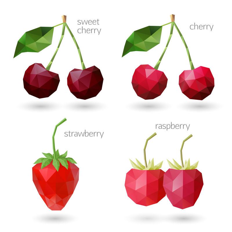 多角形浆果。矢量图示