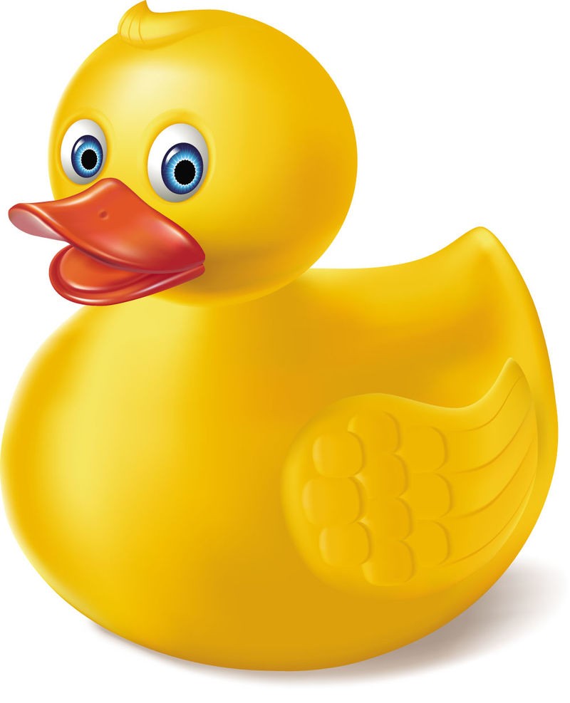 矢量卡通品种鸭子