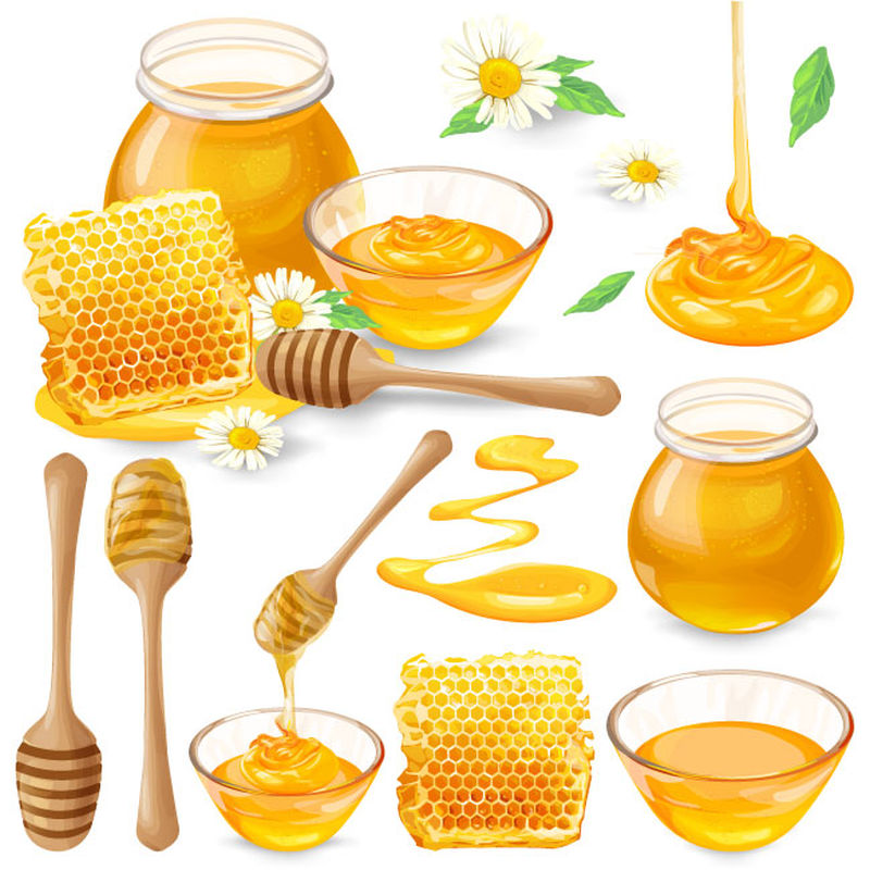 矢量蜂蜜设计