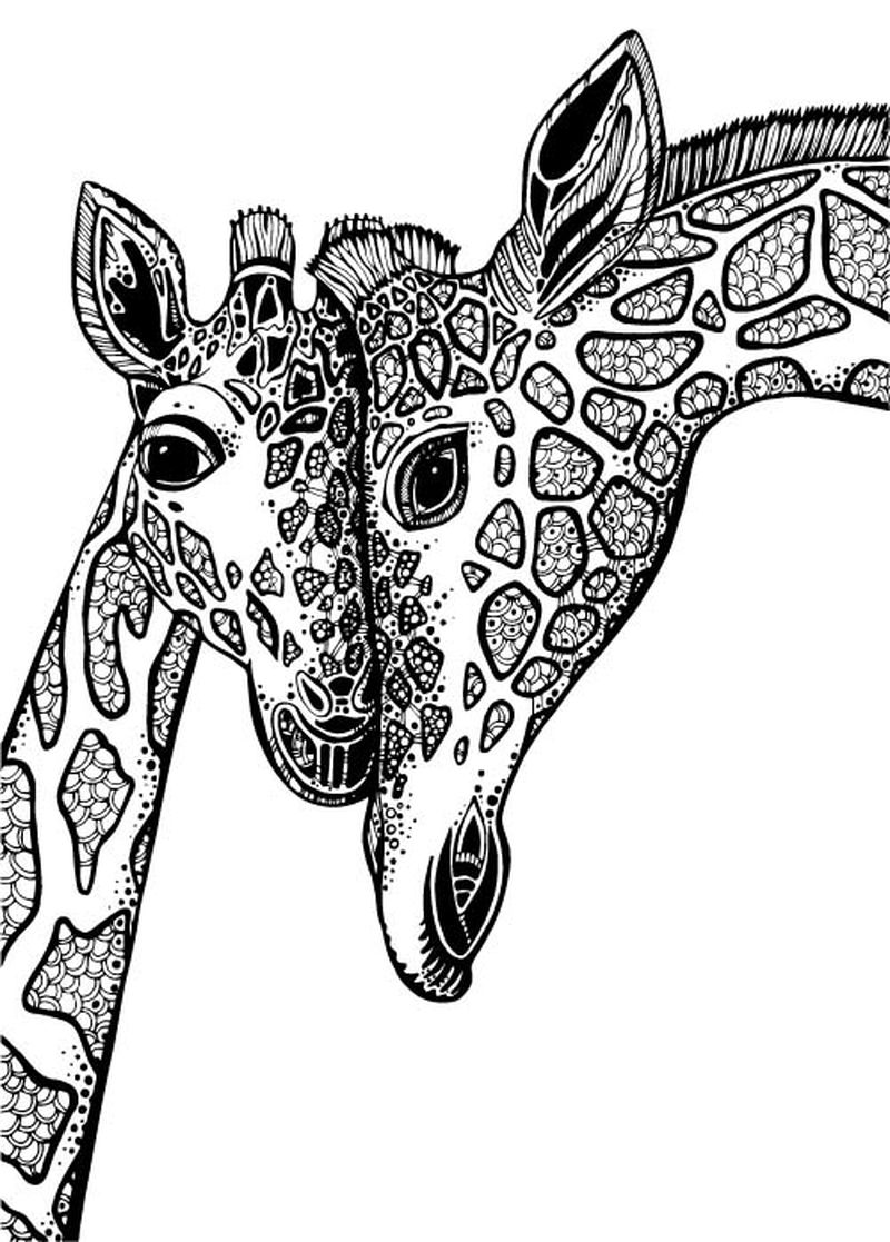 两个长颈鹿相爱的矢量图形说明