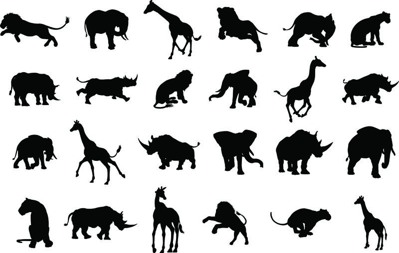 非洲野生动物剪影