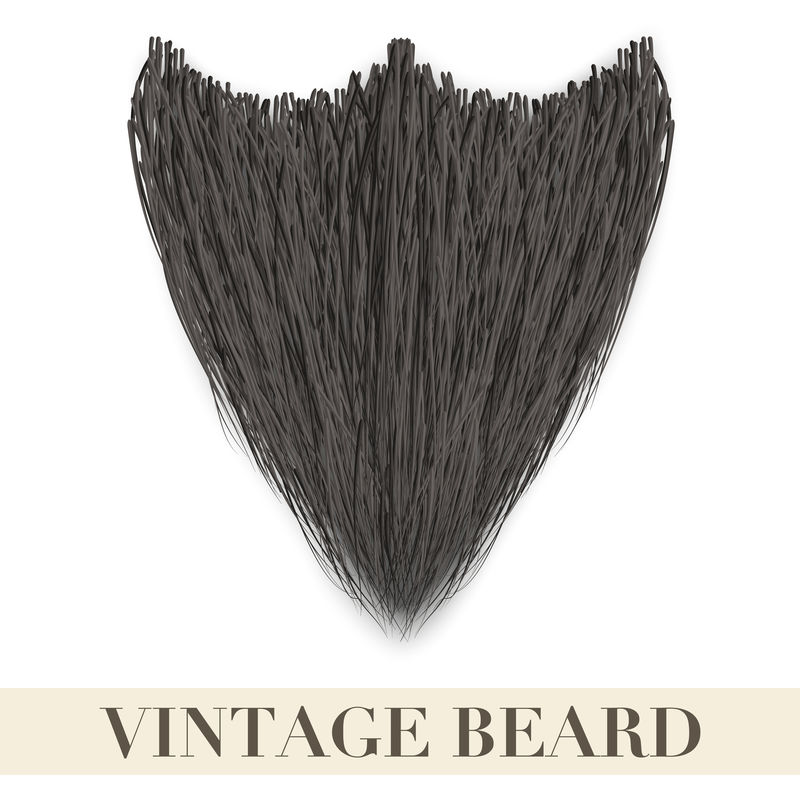 逼真的黑胡子。矢量图解。