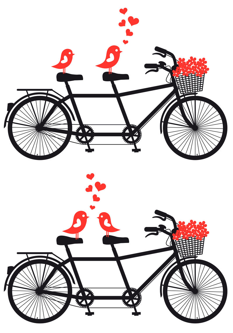 双人自行车与爱鸟，矢量
