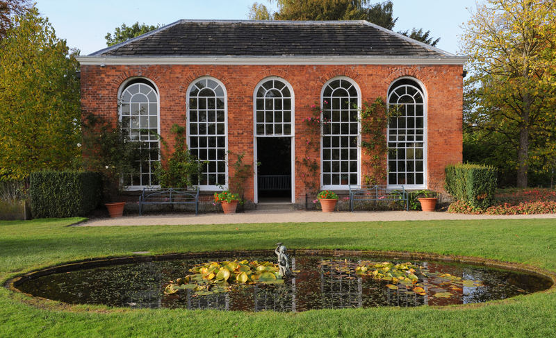 庭院里的装饰池塘