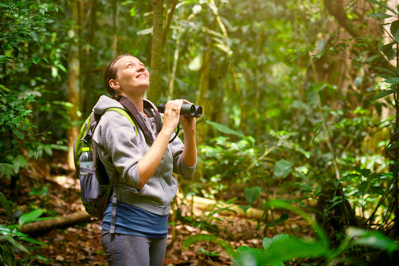 徒步旅行者用双筒望远镜观察丛林中的野鸟。