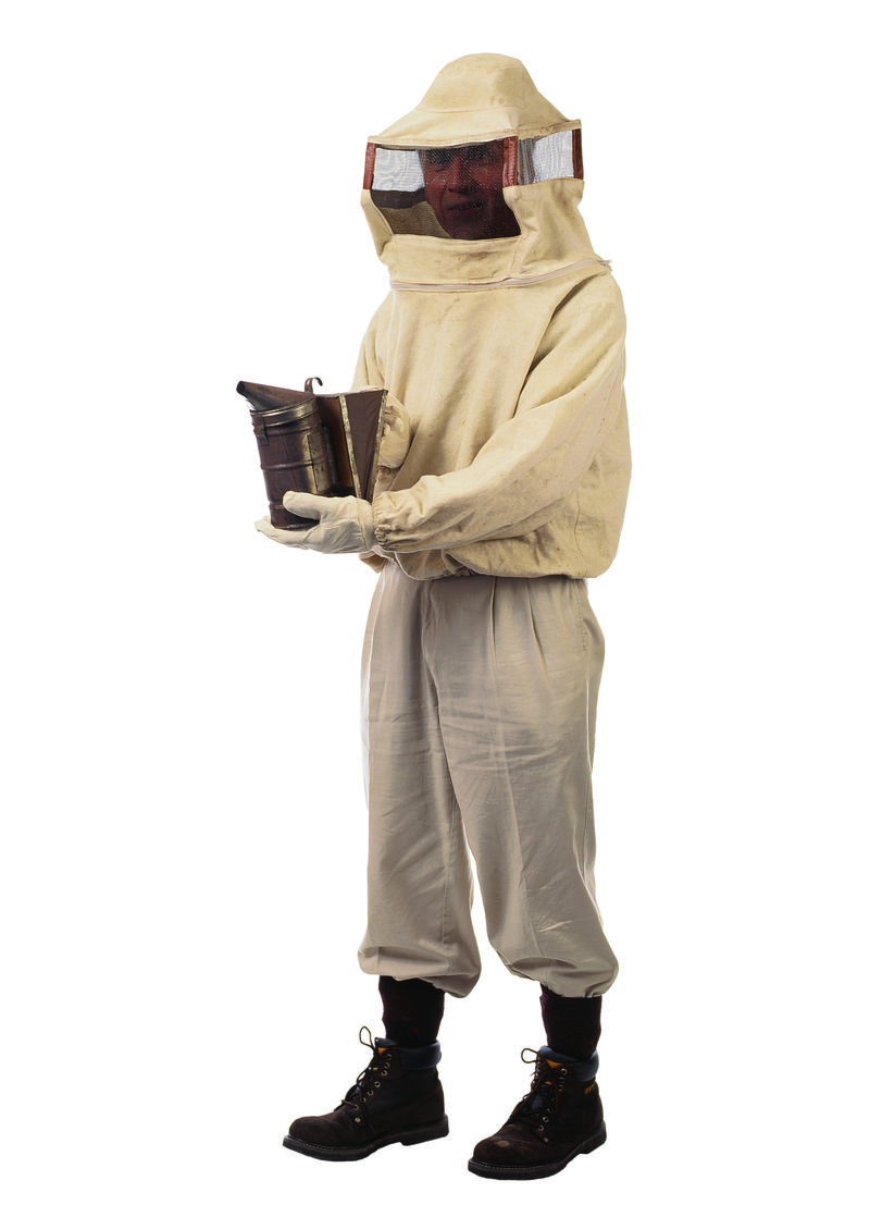 白色背景上不同职业的人