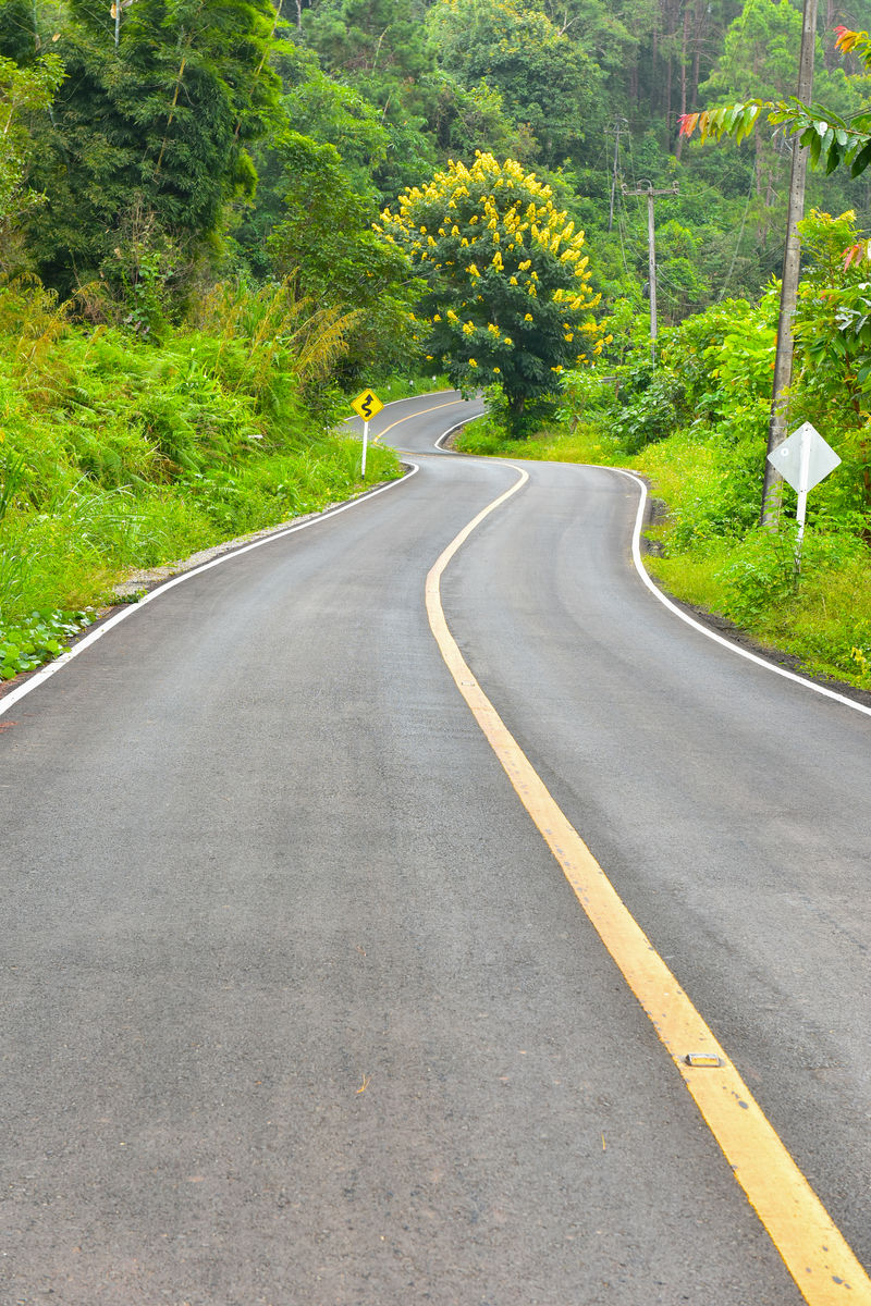 創意圖片 朦朧的紫色寧靜的森林道路道路與高速公路圖片id: 664542