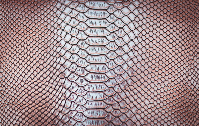 蛇皮纹理背景