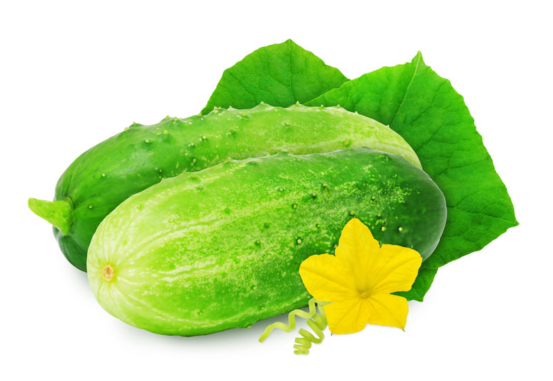 白色背景上的蔬菜水果