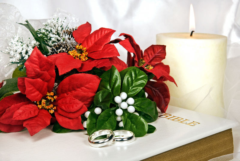 圣诞婚礼红