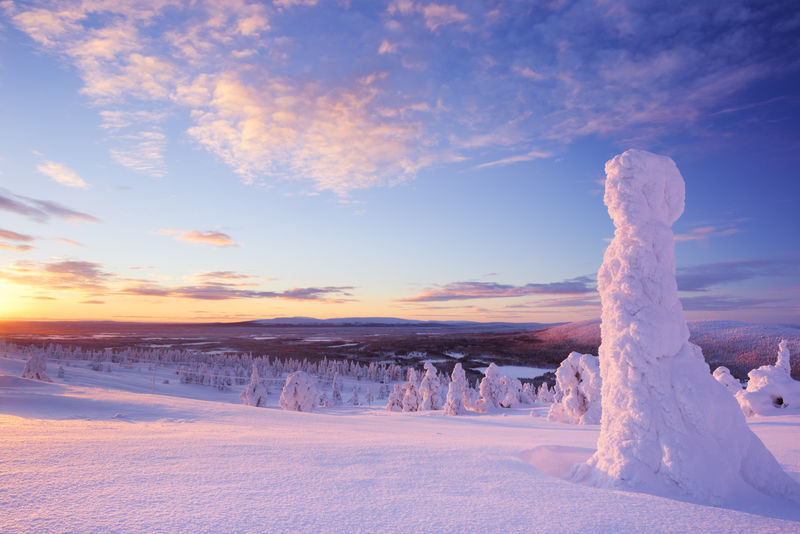 日落在山上冰冻的树上，利维，芬兰的拉普兰