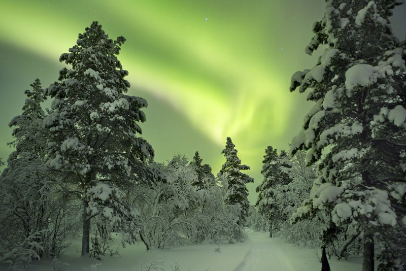 芬兰拉普兰冬季景观道路上的北极光