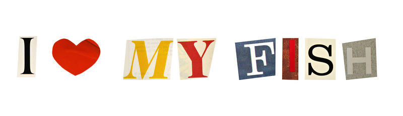 我喜欢用杂志信做成的鱼