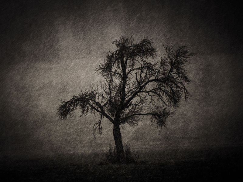 黑白系列的摄像