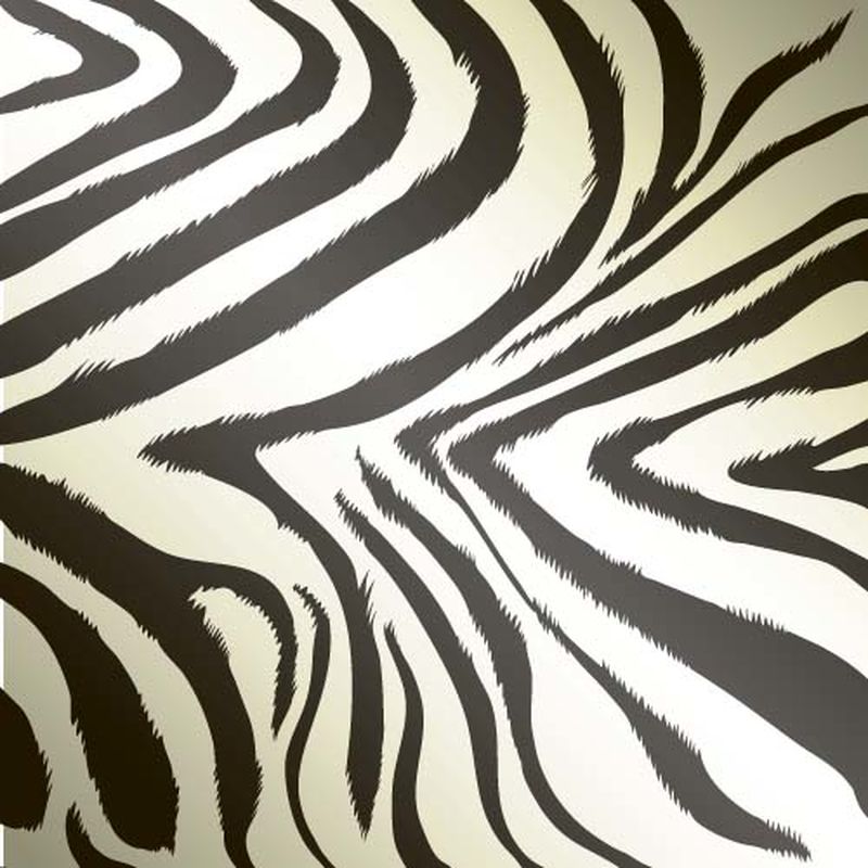 矢量动物毛皮纹理背景