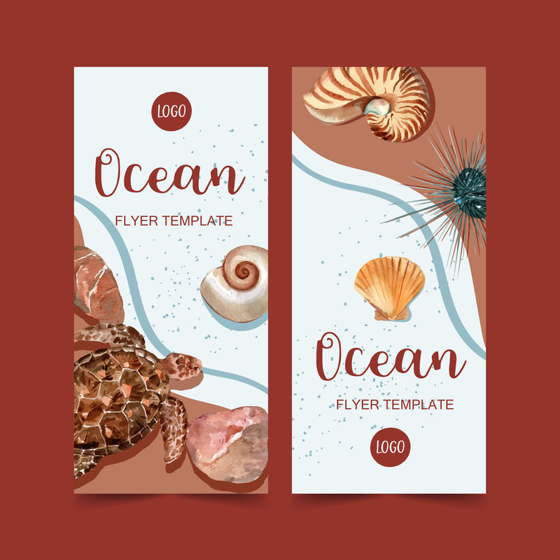 带海龟和贝壳的横幅设计