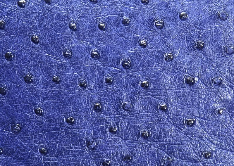 不同颜色的皮革背景