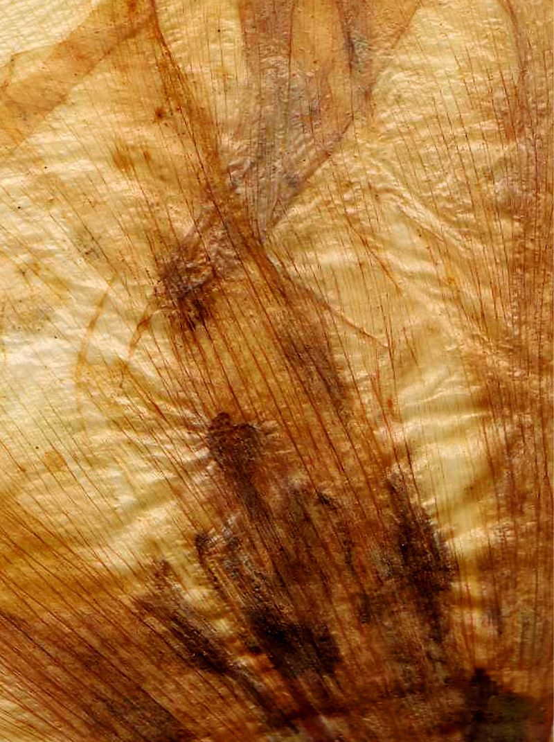 纸张纹理背景图案