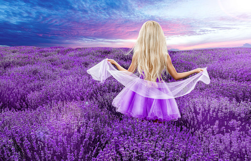 美丽的模特在春夏的薰衣草地里行走，在日出的时候。薰衣草田金发女孩-图片